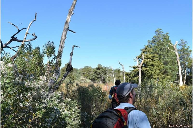 New York City’s Old-Growth Forest Threatened by Storms & Sea-Level Rise