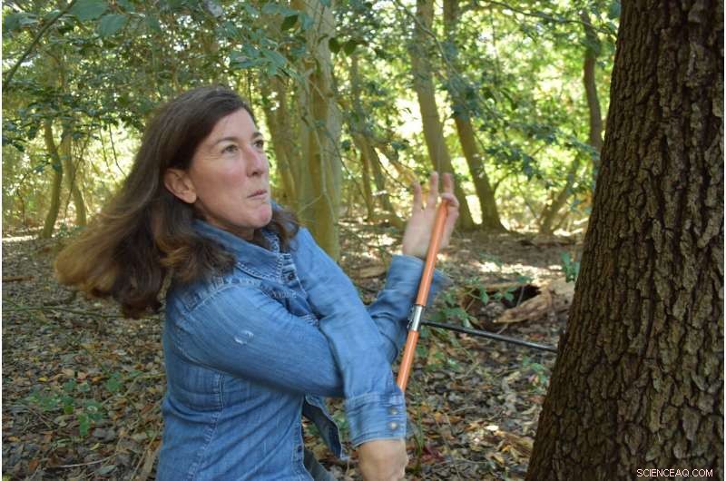 New York City’s Old-Growth Forest Threatened by Storms & Sea-Level Rise