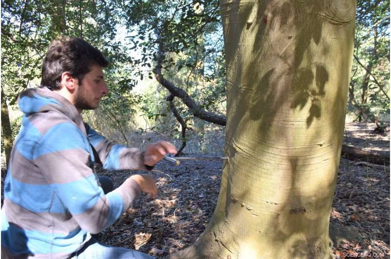 New York City’s Old-Growth Forest Threatened by Storms & Sea-Level Rise