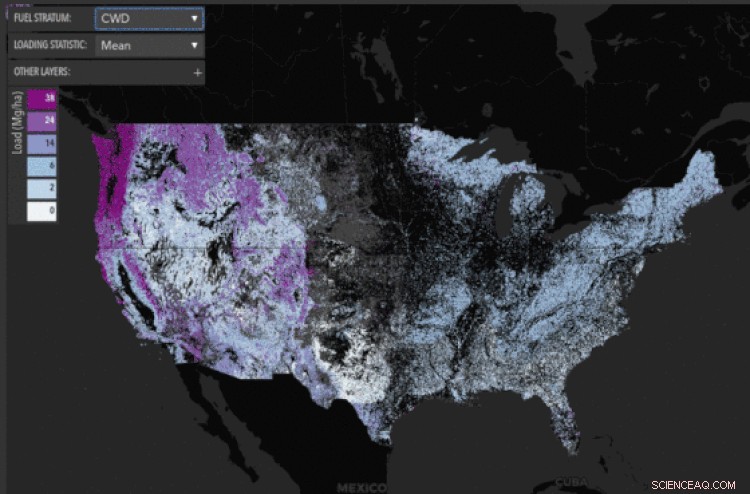 Revolutionizing Wildfire & Smoke Forecasts with Cutting‑Edge Vegetation Database