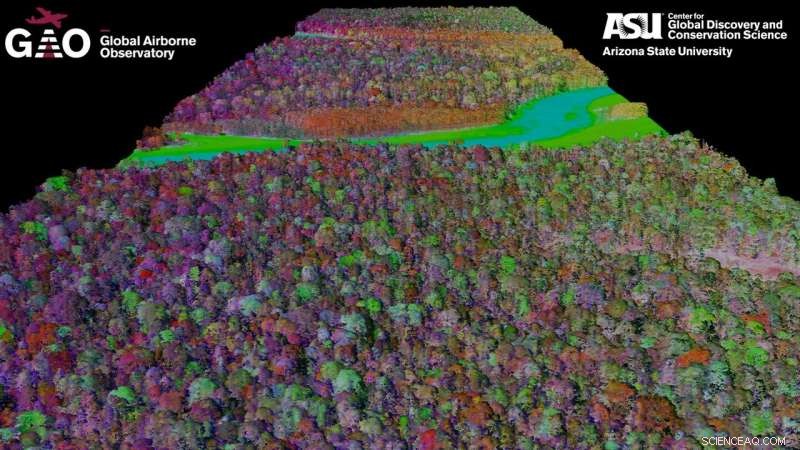 New Airborne Plant Chemistry Maps Refine Carbon Cycle Models in Tropical Forests