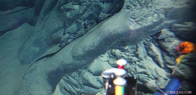 Researchers Discover Young Volcano in Pacific Plate s Oldest Section