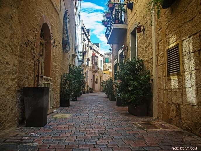 Nature-Based Solutions for Sustainable Urban Landscapes