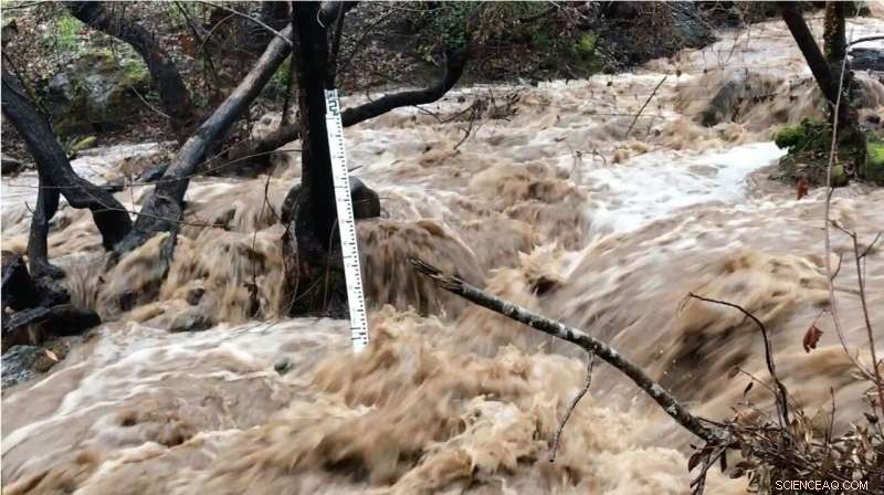 Atmospheric River Storms Cause $1 Billion in Flood Damage Annually