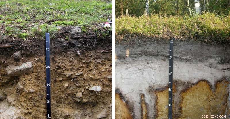 How Soil Diversity Shapes Climate Change Mitigation