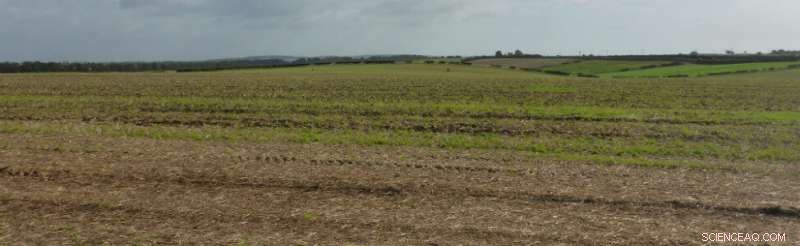 New Evidence Shows British Farm Soils Are Rapidly Degrading