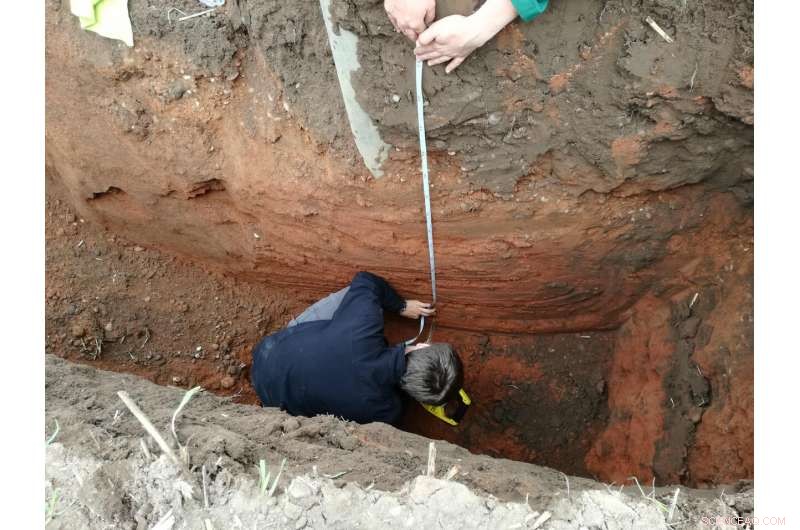 New Evidence Shows British Farm Soils Are Rapidly Degrading