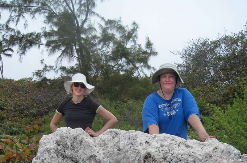 Assessing Gulf of Mexico Coral Reefs as Future Storm Surge Barriers