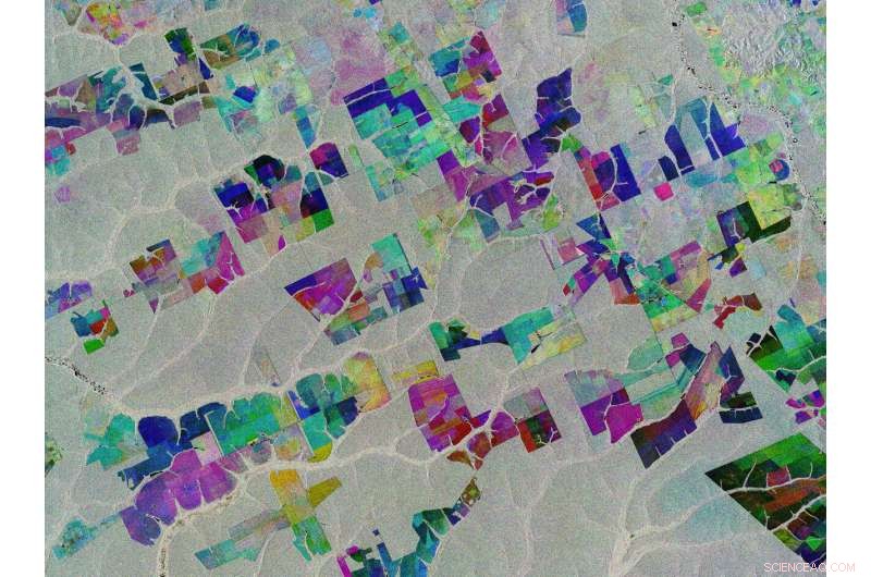 Mato Grosso, Brazil – Amazon Landscape from Copernicus Sentinel-1