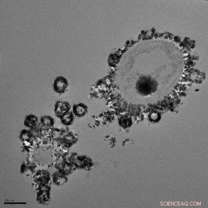 Unveiling the Dawn of Oxygenic Photosynthesis: Insights into Earth s Great Oxidation Event