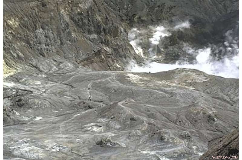 Dozens Missing After New Zealand Volcano Eruption