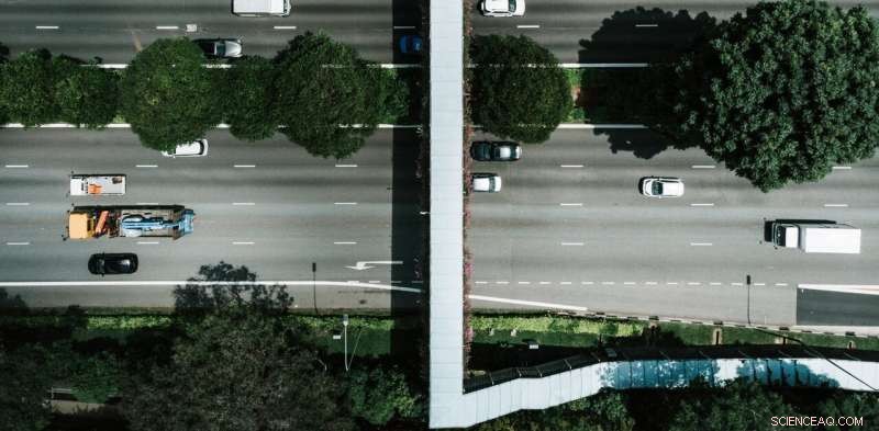 Suburbs: A Key Ally for Cities in Combating Climate Change