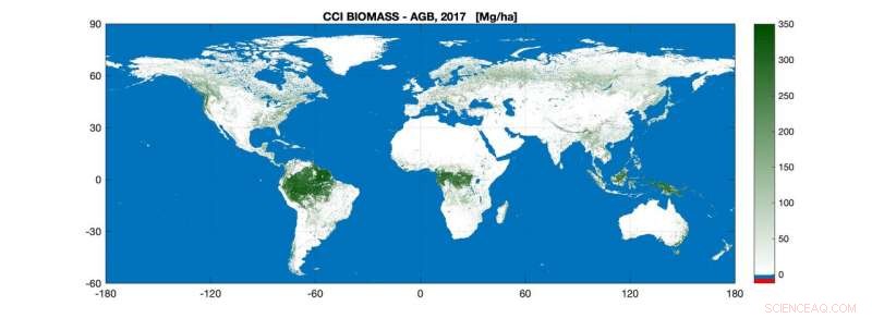 New Biomass Map: Tracking Global Carbon Stocks
