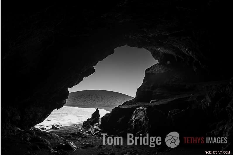 Coral Reefs Reveal Resilience on Earth s Newest Volcanic Island