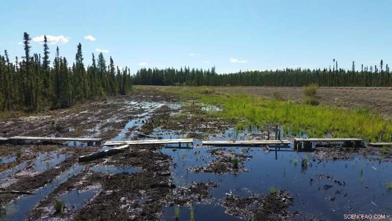 Road Construction in Peatlands Amplifies Methane Emissions