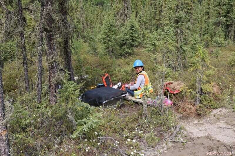 Road Construction in Peatlands Amplifies Methane Emissions