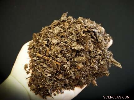 Reducing Runoff in Plant Nurseries: Proven Strategies & Research