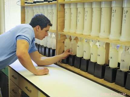 Reducing Runoff in Plant Nurseries: Proven Strategies & Research