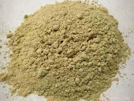 Reducing Runoff in Plant Nurseries: Proven Strategies & Research