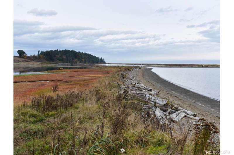 Collaborative Insights into Coastal Dynamics and Evolution