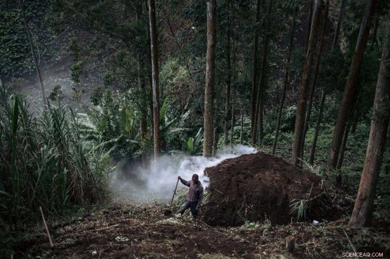 DR Congo s Rainforest Under Siege: Threats from All Sides