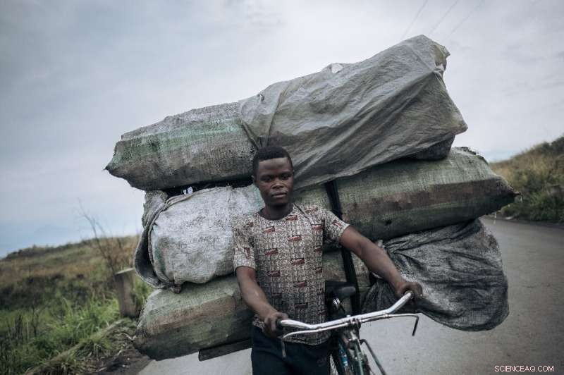 DR Congo s Rainforest Under Siege: Threats from All Sides