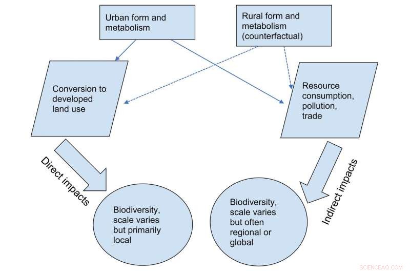 Global Overview: Urban Expansion Threatens Biodiversity