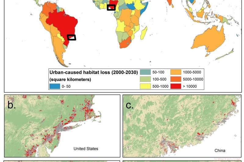 Global Overview: Urban Expansion Threatens Biodiversity