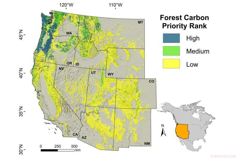 Key US Forests Identified as Vital for Climate Mitigation and Biodiversity Preservation