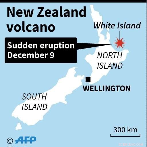 New Zealand Volcano Eruption Claims One Life, Strands Tourists on White Island