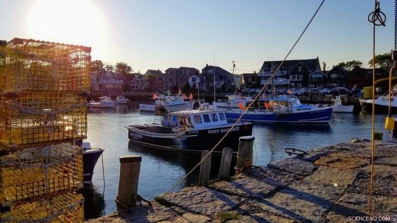 Climate Change Threatens New England Fishing Industry: Study Reveals Rising Job Losses