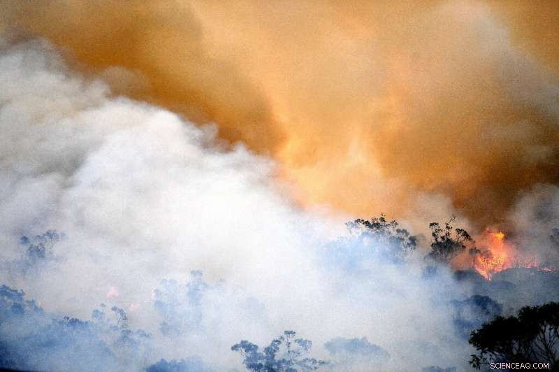Severe Bushfire Smoke Covers Eastern Australia, Raising Health Concerns