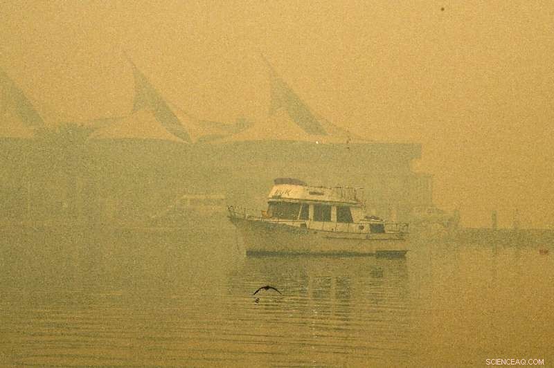 Severe Bushfire Smoke Covers Eastern Australia, Raising Health Concerns