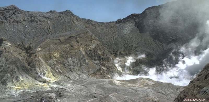 Tourists on White Island: Why Access Was Permitted
