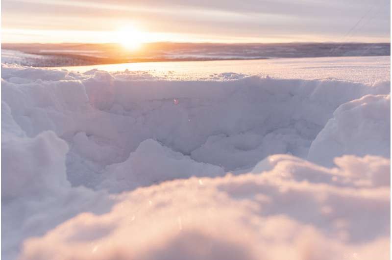 Global Warming Endangers Reindeer Herds in Sweden s Arctic