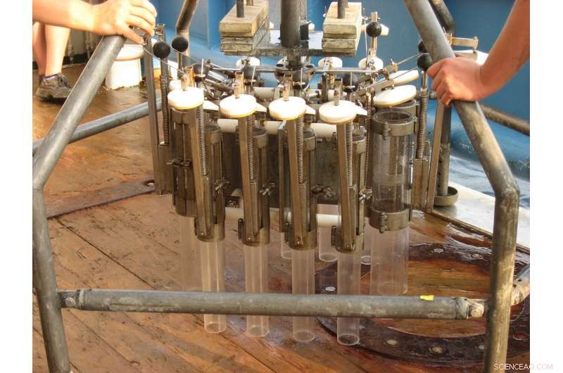 Dark Carbon May Mask the True Extent of Ocean Dead Zones