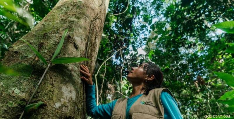 WWF Report: Preserving Nature Is Key to Combating the Climate Crisis