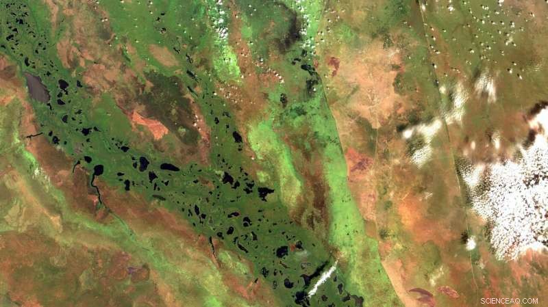 One-Third of Global Methane Rise Originates in Tropical Africa