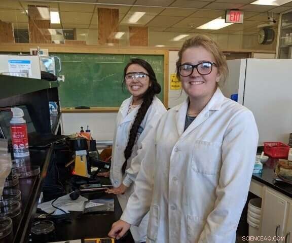 16‑Year‑Old High School Student Publishes Scientific Paper, Guided by Professor