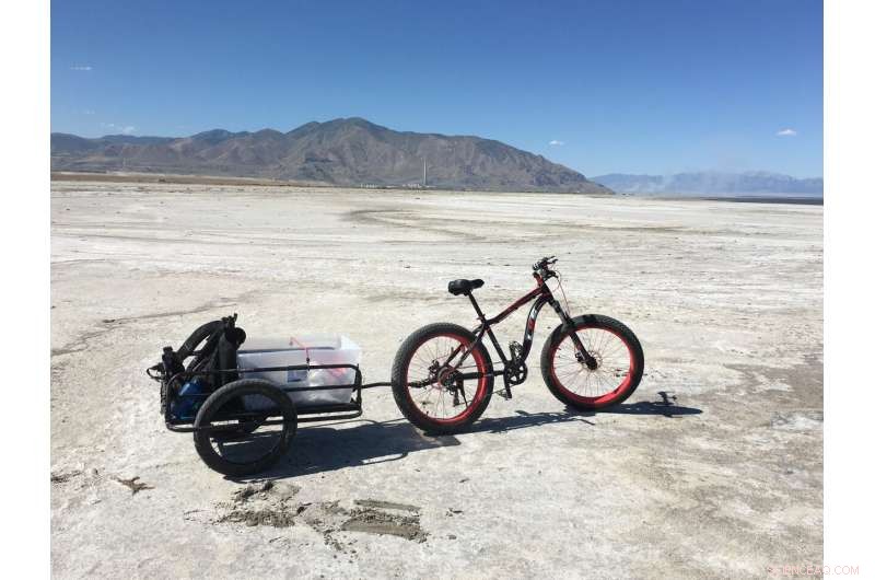 Field Researcher Explores the Vast Great Salt Lake Playa