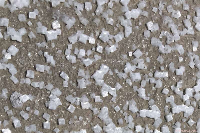 Field Researcher Explores the Vast Great Salt Lake Playa