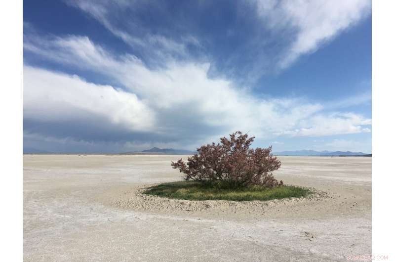 Field Researcher Explores the Vast Great Salt Lake Playa