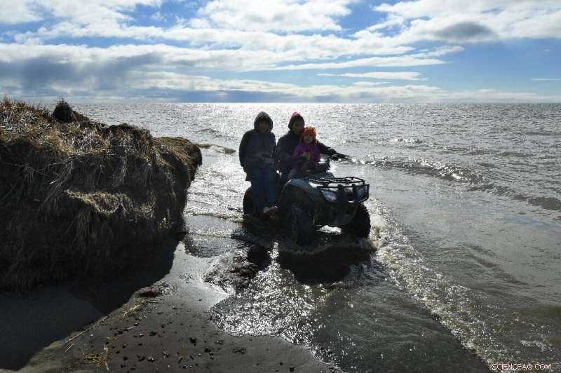 Arctic Records Second Warmest Year on Record, Heightening Sea‑Level Concerns