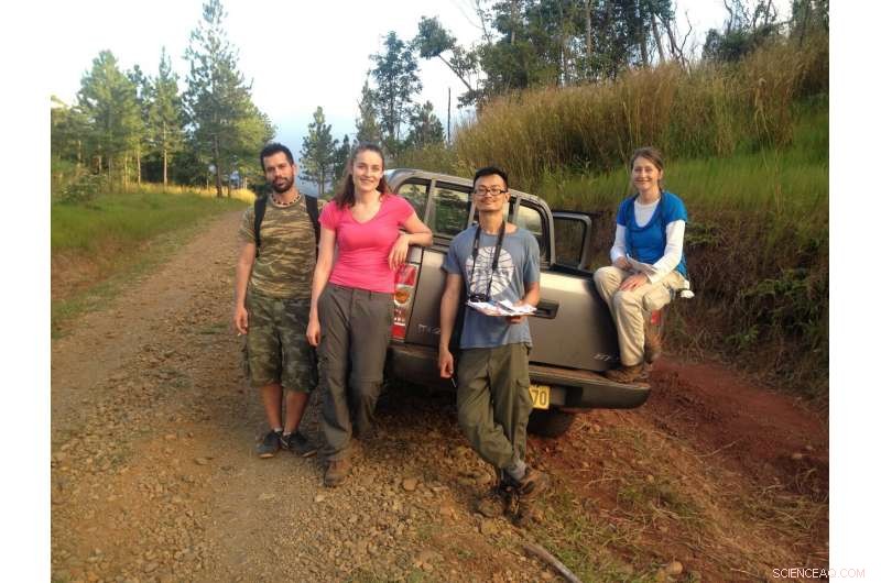 New Research Identifies Climate‑Resilient Tree Species Worldwide