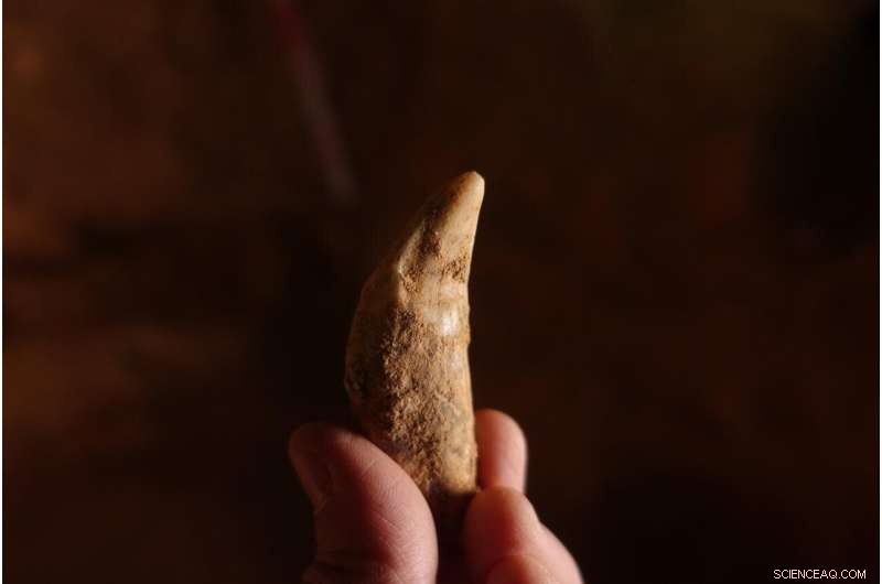 35,000 Years Ago: Central Iberia’s Tundra-Steppe Past Revealed