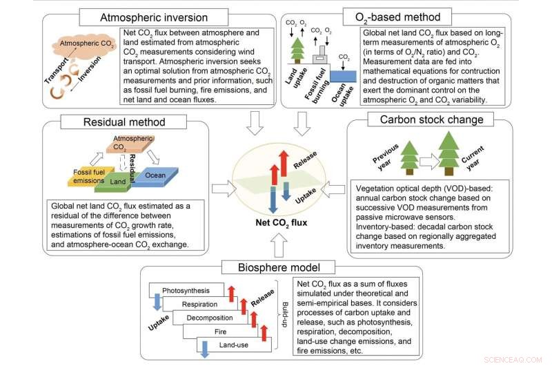 Enhanced Ecosystem Carbon Mitigation Estimates Propel Progress Toward the Paris Agreement
