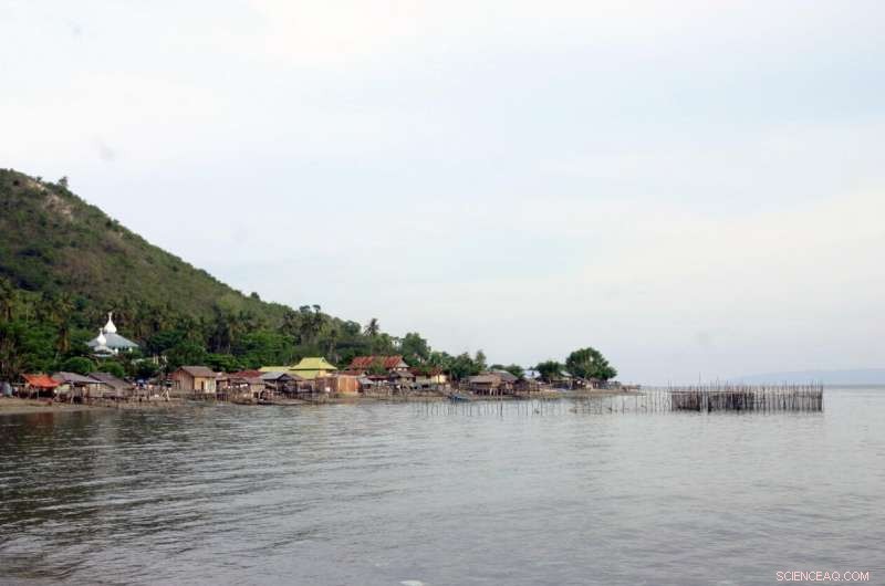 Leveraging Nature’s Defenses to Protect Coasts from Tsunamis