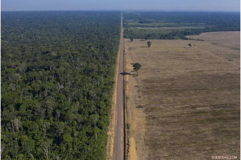 Amazon at a Crossroads: Brazil s Battle Between Conservation and Development