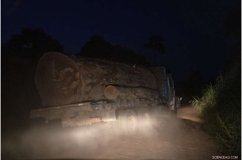 Amazon at a Crossroads: Brazil s Battle Between Conservation and Development