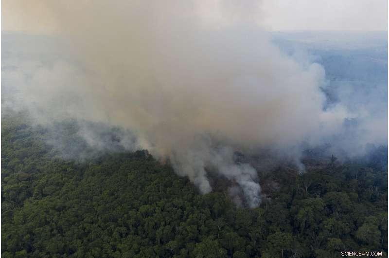 Amazon at a Crossroads: Brazil s Battle Between Conservation and Development
